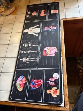 Anatomy Desk Mat with Colorful Organ Illustrations